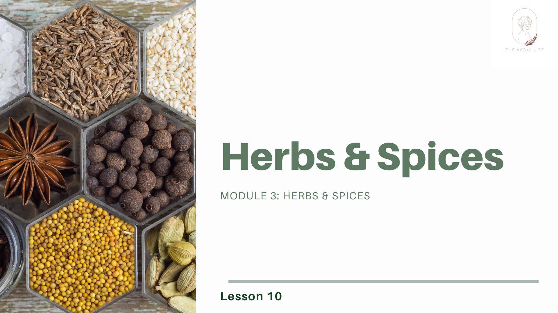 Week 10 Herbs & Spices The Vedic Life