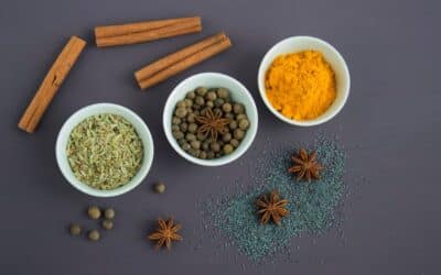The Three Doshas: Vata, Pitta and Kapha Explained